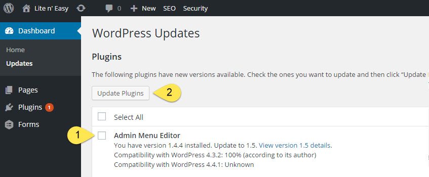 WordPress Plugin Update 2