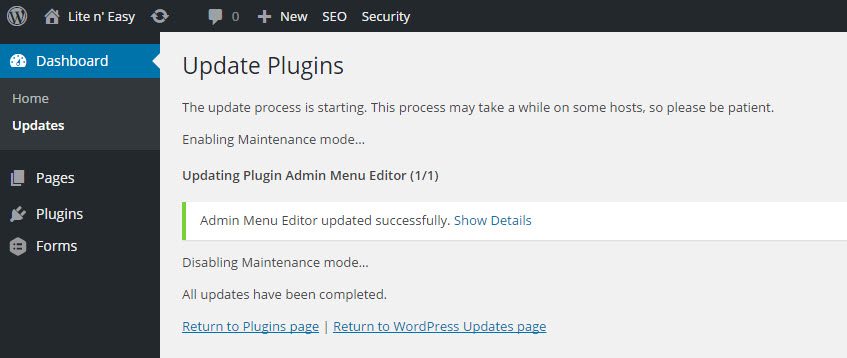 WordPress Plugin Update 3