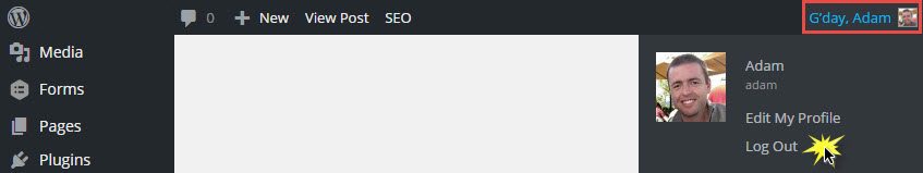 login and logout of WordPress -1-1