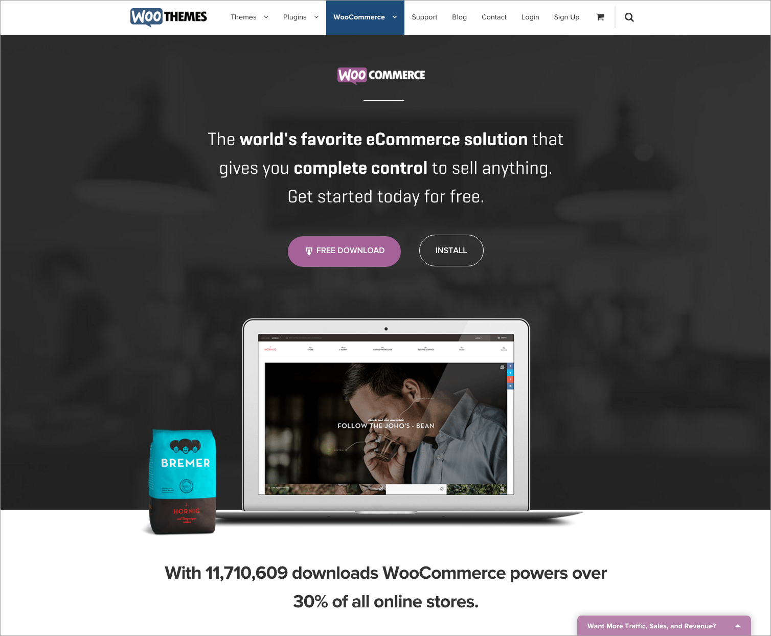 e-Commerce Platforms - Woocommerce