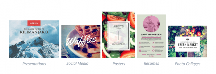 Canva-article-image-2