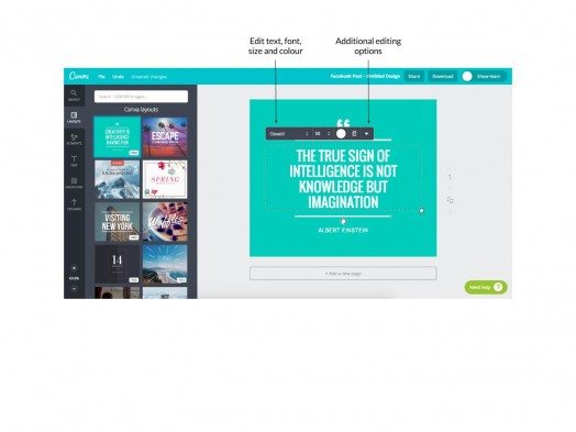 Canva-article-image-5