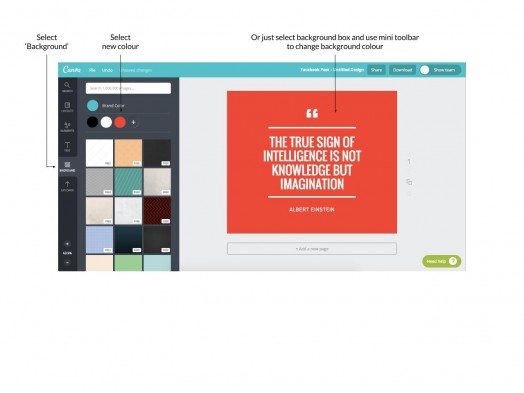 Canva-article-image-6