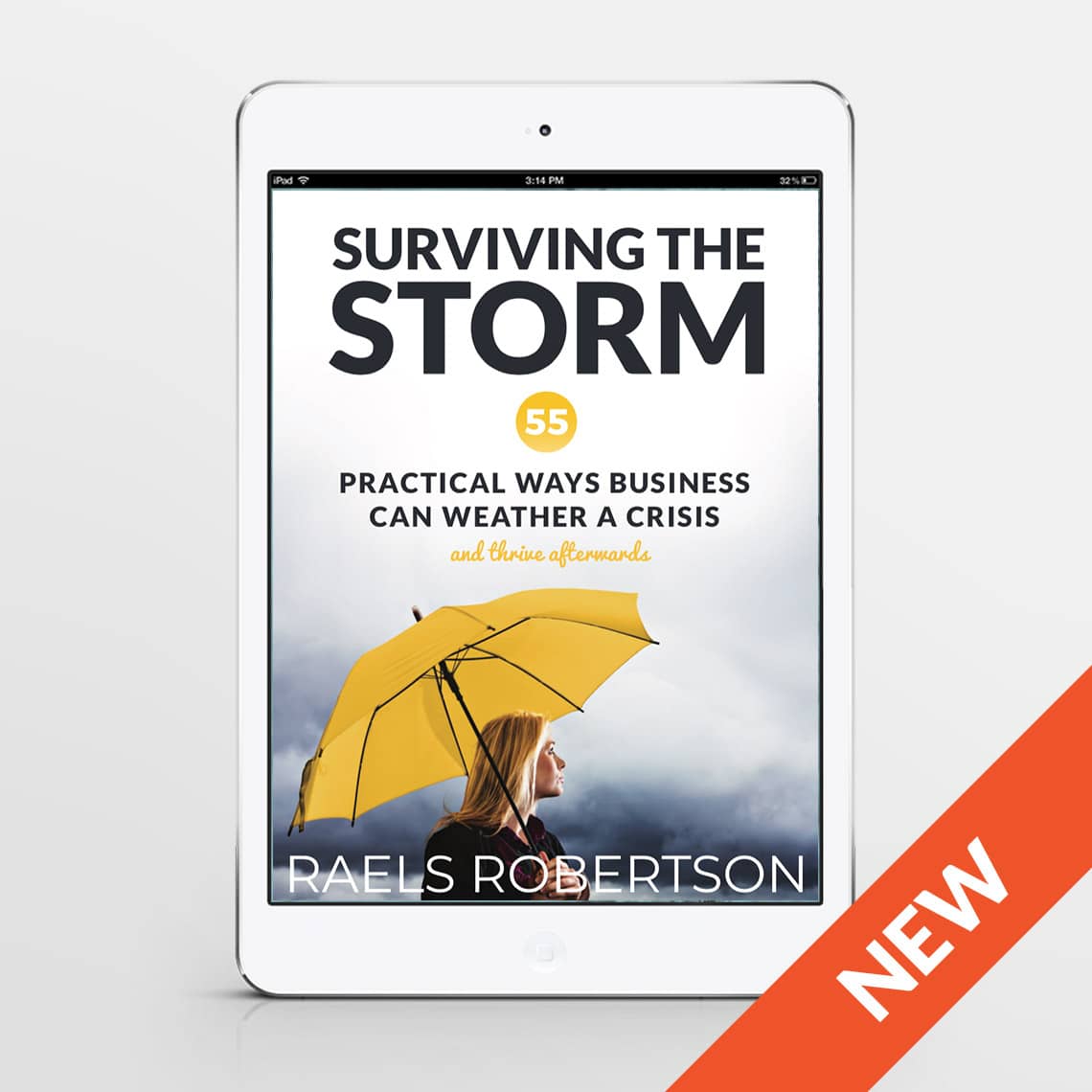 Surviving the Storm Small Business eBook