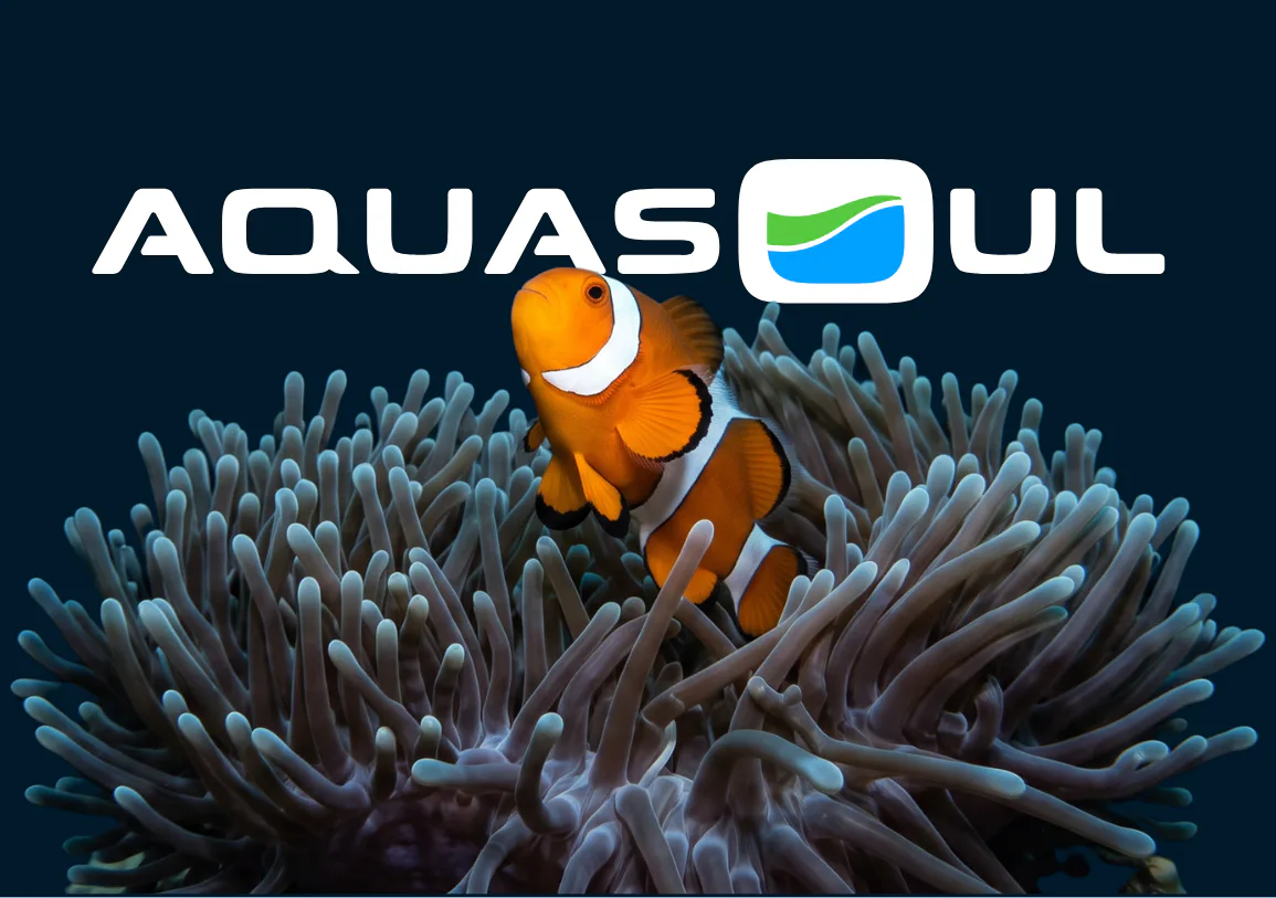 Orange and white clownfish swimming among blue sea anemone tentacles with AquaSoul company logo featuring green and blue wave design on dark blue background