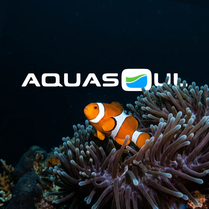 Orange and white clownfish swimming among purple and blue sea anemone tentacles with the AquaSoul logo in white text featuring a green and blue water wave icon on dark background.