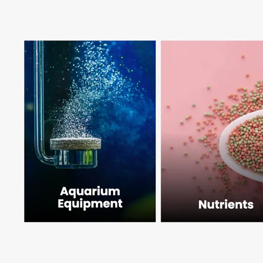 Split image showing aquarium equipment with water bubbles on left and nutrient pellets in white bowl on pink background on right, labeled respectively.
