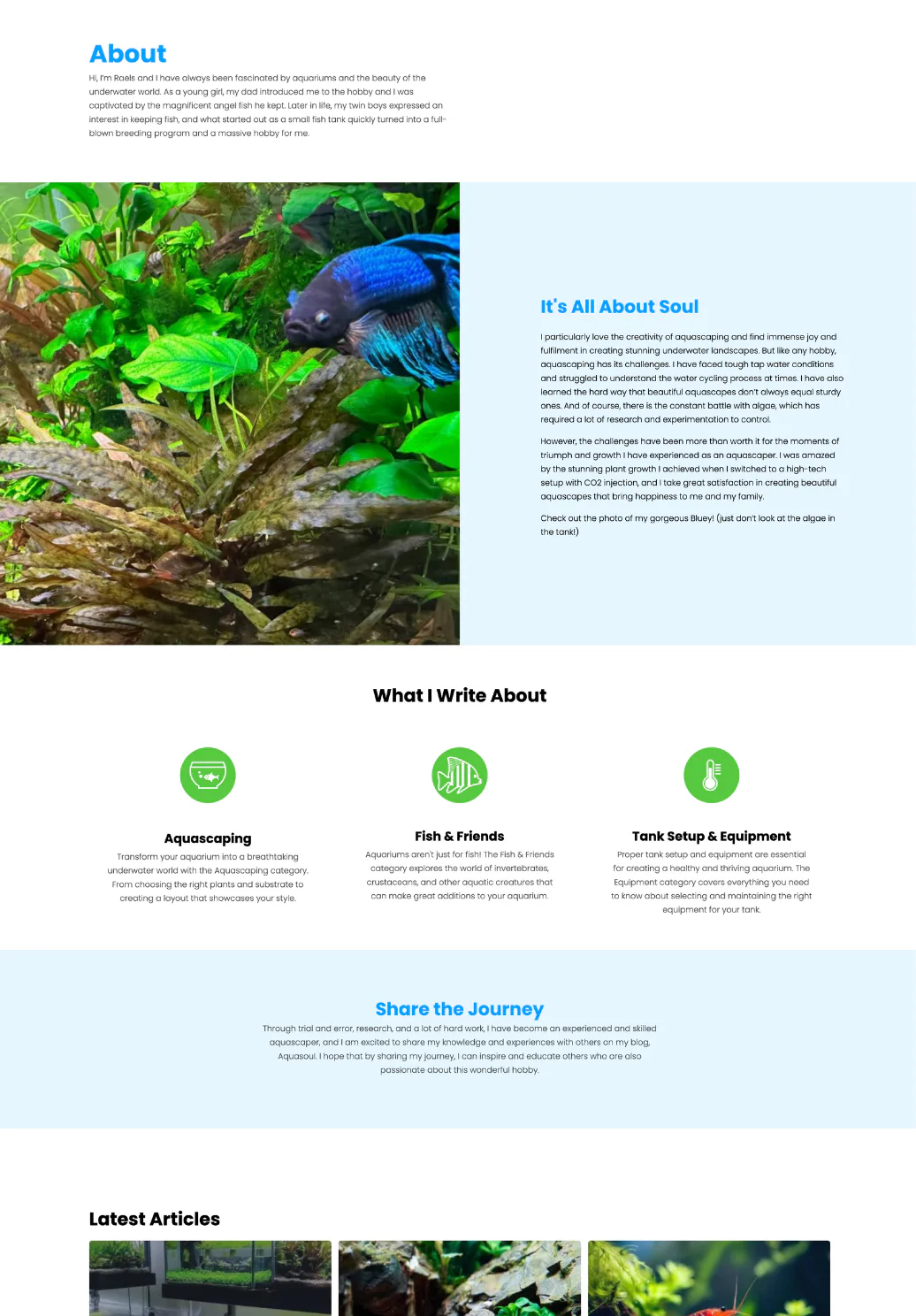 A vibrant blue fish with flowing fins swims among lush green aquatic plants and natural rocks in a planted aquarium setup, showcasing underwater landscaping design.