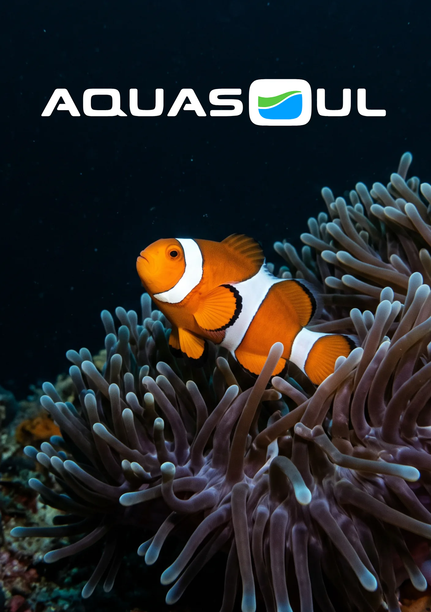 Orange and white clownfish nestled among purple and blue sea anemone tentacles in deep ocean waters, with the Aquasoul brand logo displayed above