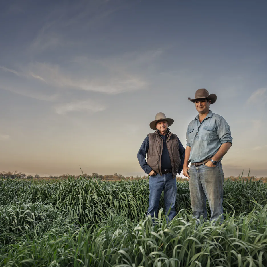 Two men in cowboy hats standing in a green crop field under clear blue sky, representing Arrow Energy's operational expertise and regional partnerships in Queensland's agricultural and energy sectors.