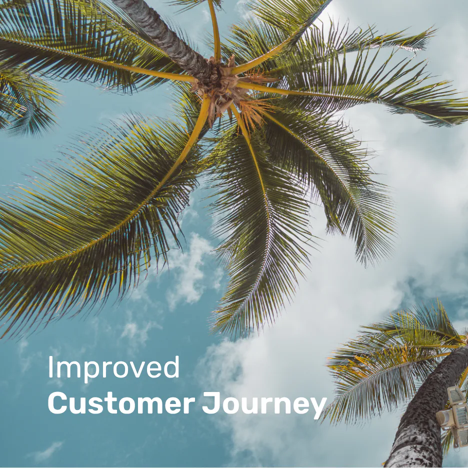 Upward view of palm tree fronds against blue sky with white clouds, symbolizing growth and positive customer experience transformation.